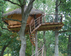 Tree House na pilotech