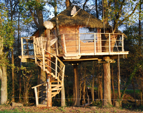 Tree House na ocelových lanech